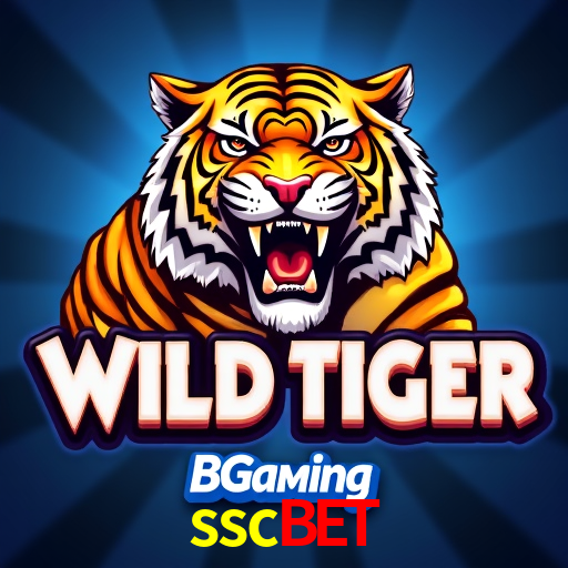 sscbet,sscbet.com
